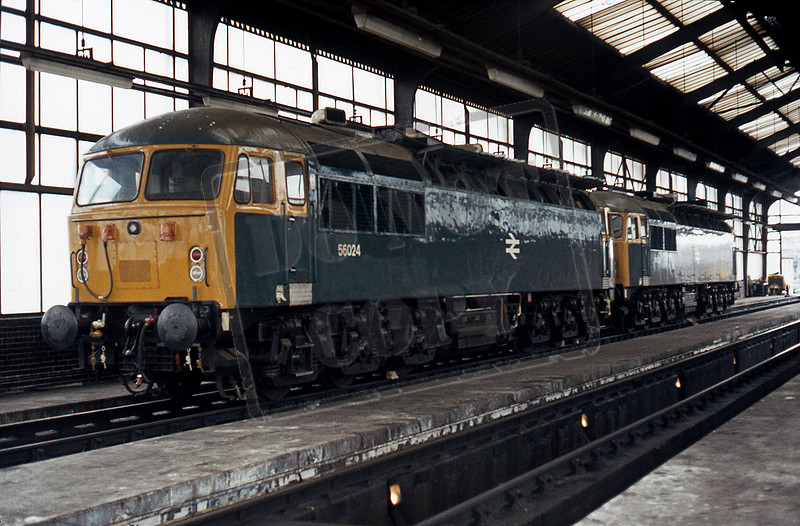 Rail-Online | Class 56 | 56024 1977-4 Sheffield Darnall