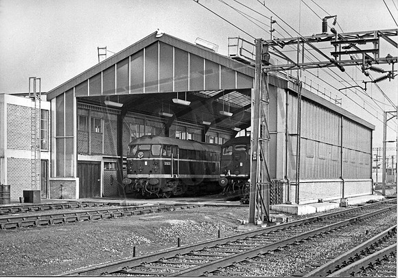 D5520 1962-03-14 Colchester