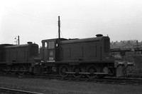 11116 1950s