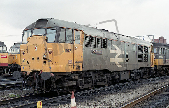 31102 1990c Longsight
