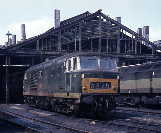 D7005 1969-06-08 Swindon