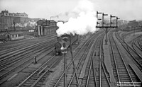 46749 1950 Rugby