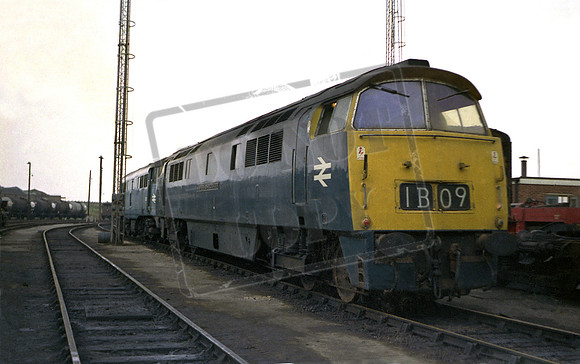 D1019 1972-07-23 Old Oak Common
