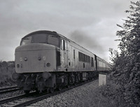46004 1980-09-06 Rangeworthy