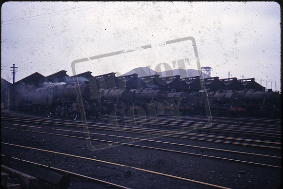 Shed 1963-05-12 Royston-ROS-5-410