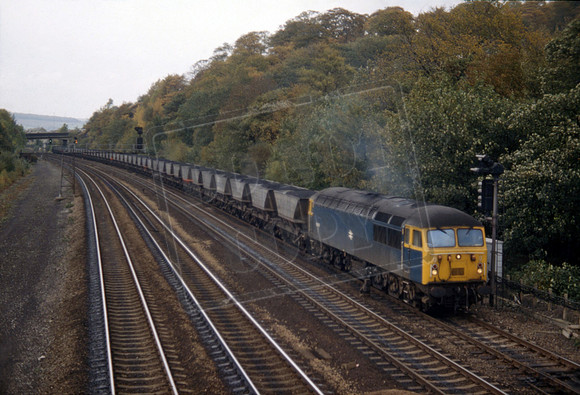 56037 1981 Chesterfield