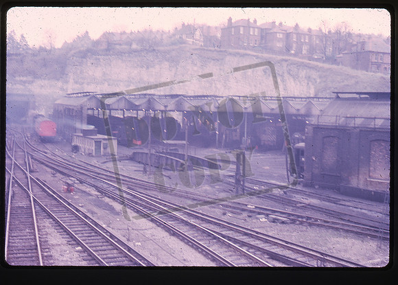 Shed 1966-11-16 Guildford-ROS009a2