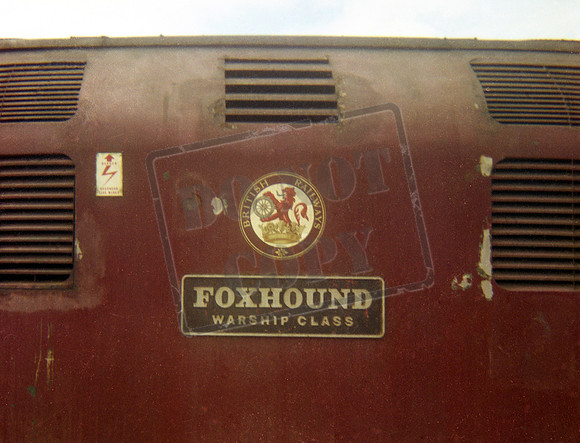 D817 1970s name