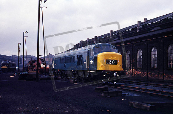 D161 1967-02-19 Derby Shed