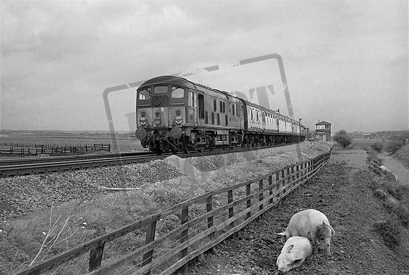D5096 1964-05-09 Preston le Skerne