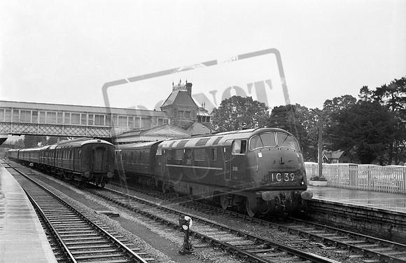 D866 1962 Torquay