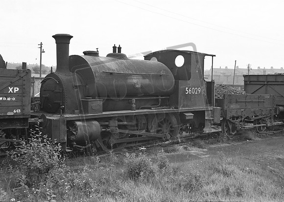 56029 1960 Kipps