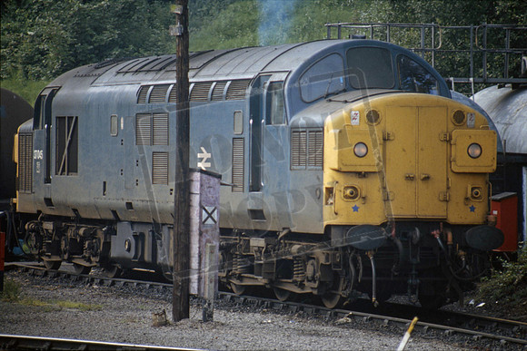 37045 1982 Ipswich