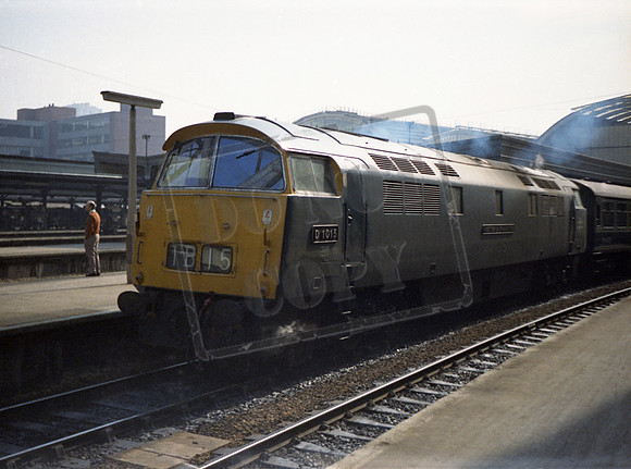 D1015 1973 Paddington
