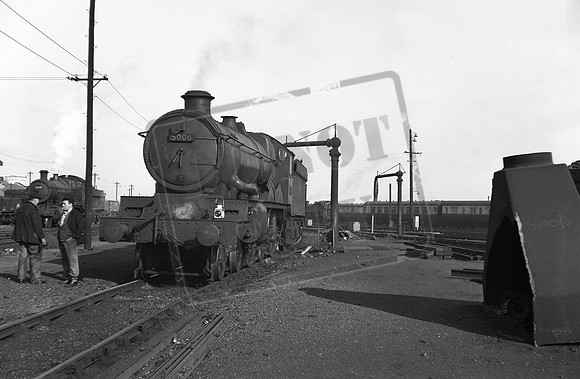 5006 1954c Old Oak