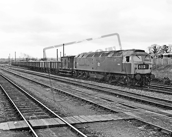 1664 1974-06-04 Westbury