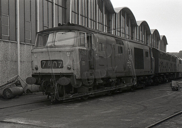 D7017 1971c Laira